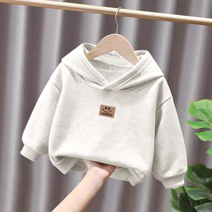 100%纯棉男童加绒加厚连帽卫衣秋冬新款中小儿童宝宝卡通外穿上衣