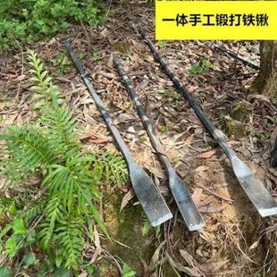 弹簧钢树铲挖洞铲移植锹钢铲挖坑铁锹园艺林工具手工花锹铲尖直锹