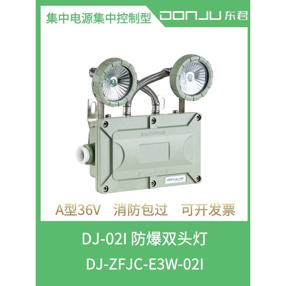 东君照明DJ-ZLJC-E3W-02I防爆双头灯IP65消防应急照明集中电源A型