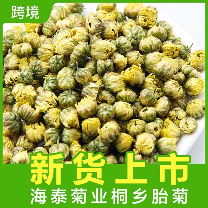 新货桐乡胎菊花茶散装杭白
