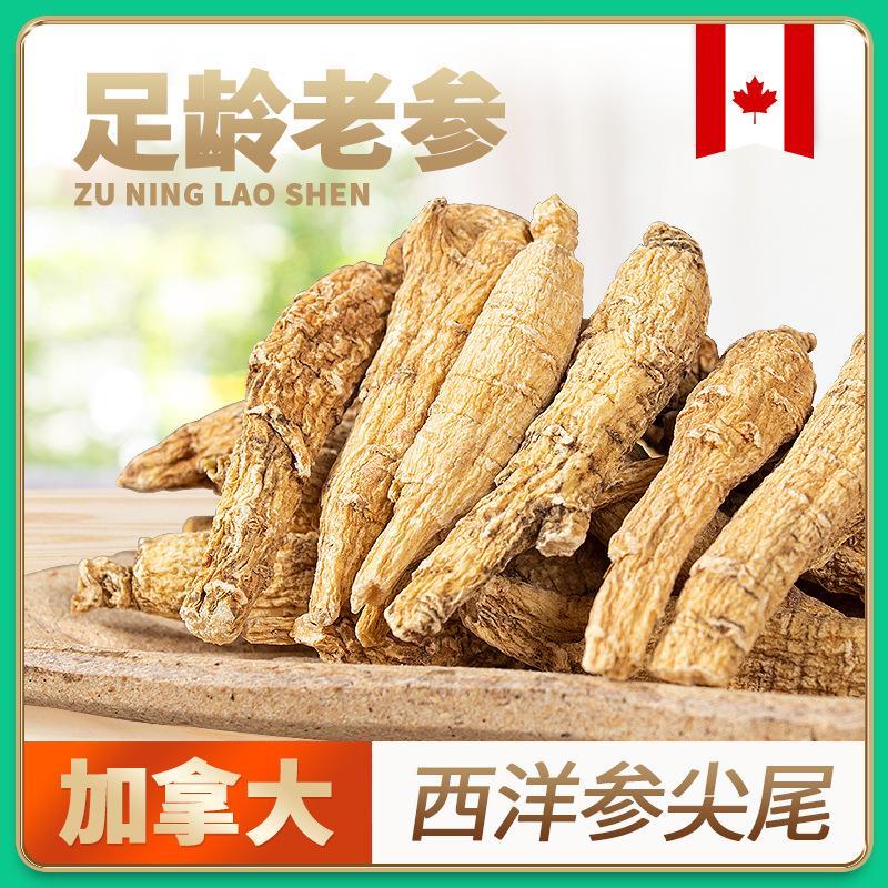 西洋参尖尾枝条加拿大软枝花旗参特惠整枝可切片打粉