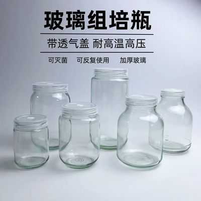 耐高温高压组培玻璃瓶菌种玻璃瓶