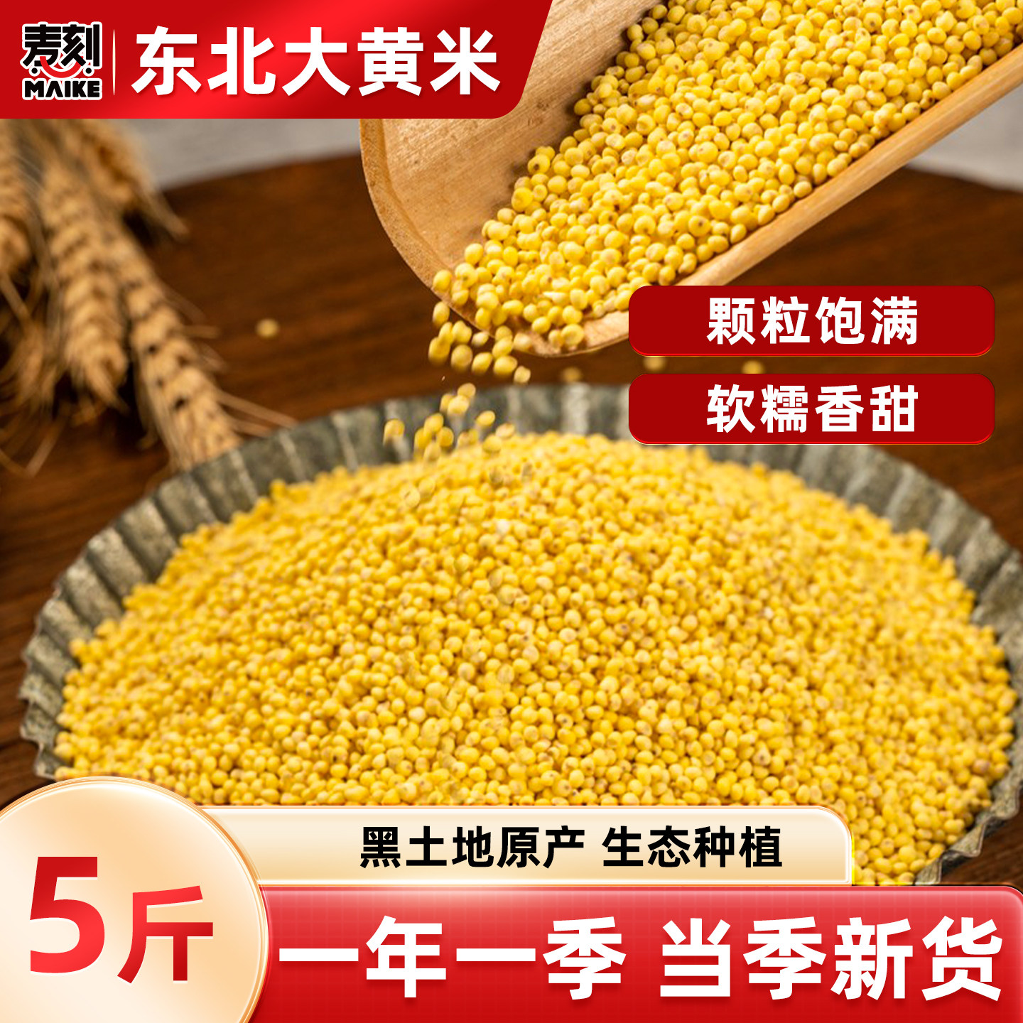 东北大黄米新货农家自种图片