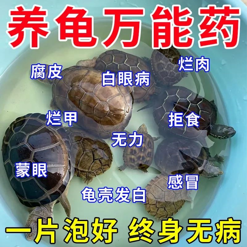 护龟片乌龟消毒片专治腐皮烂甲白眼病厌食净化水质杀菌宠物消毒液