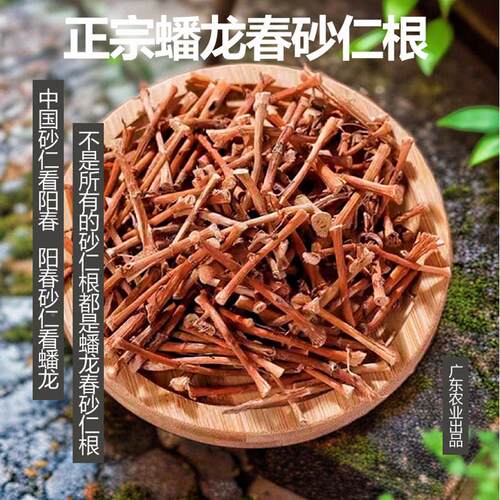 蟠龙新正春宗阳春春砂仁根干农家自货晒野生沙仁根煲砂仁头食CZT