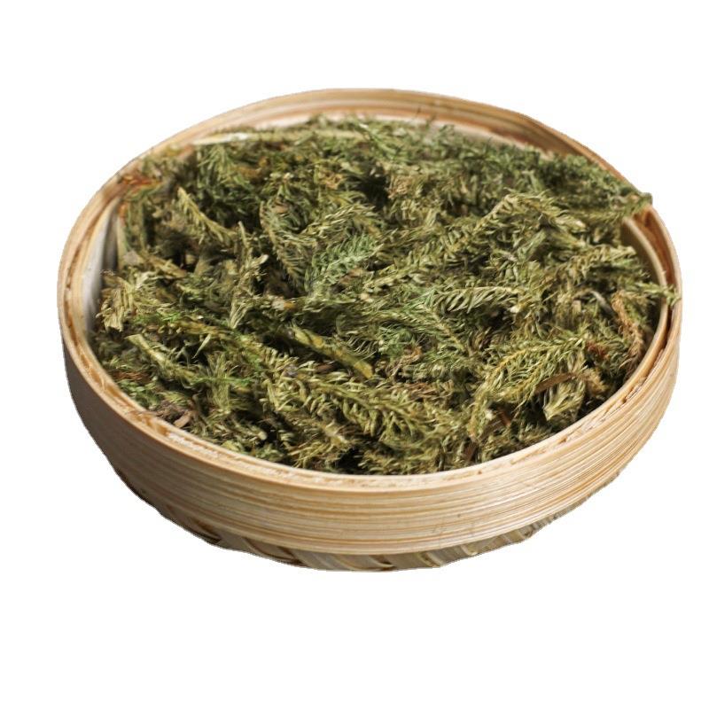 特惠中草药伸筋舒当季新货