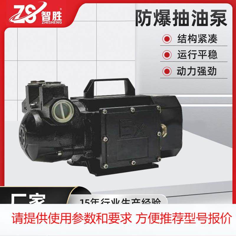 不锈钢手提式电动直流防爆抽油泵便携 220V 750w汽柴油,五金/工具,水泵,淘宝优惠券,粉丝福利购,淘宝优惠卷