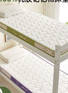 2025新款乳胶记忆棉190x90cm柔软舒适租房专用床垫