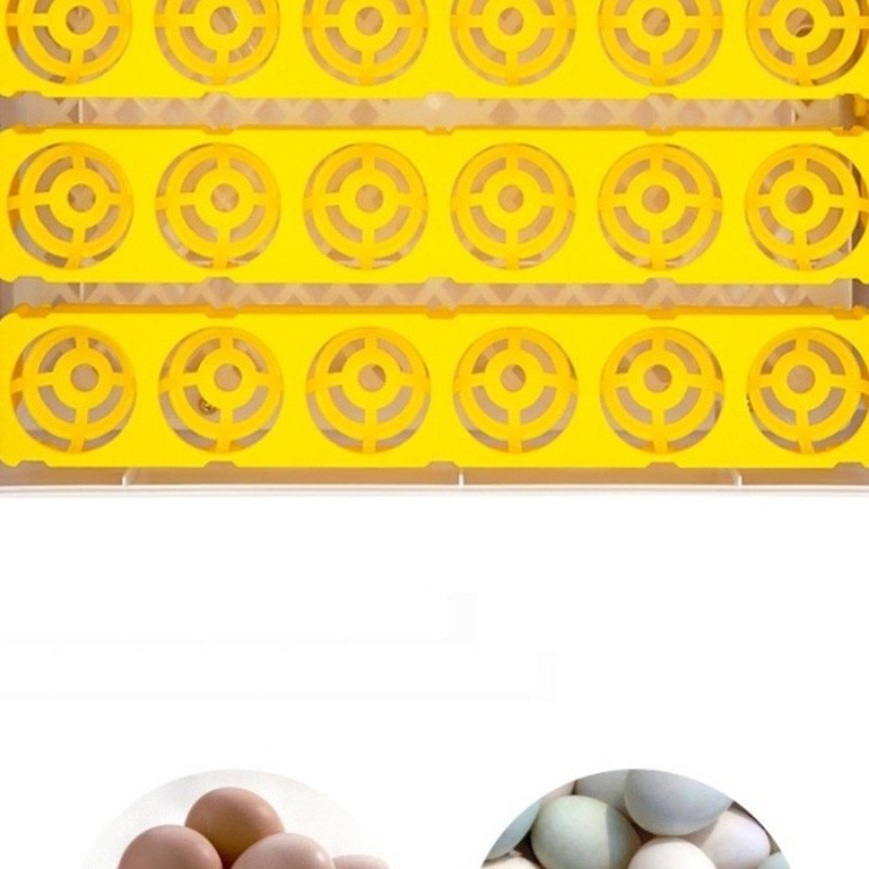 孵化器家用智能小鸡养殖孵化设备24枚鸡蛋家禽孵化机鸟类孵蛋器,畜牧/养殖物资,畜牧/养殖器械,淘宝优惠券,粉丝福利购,淘宝优惠卷