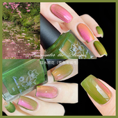 encounter 萤窗竹雪油性不可剥 彩磁系列P期· the blooms果缤纷