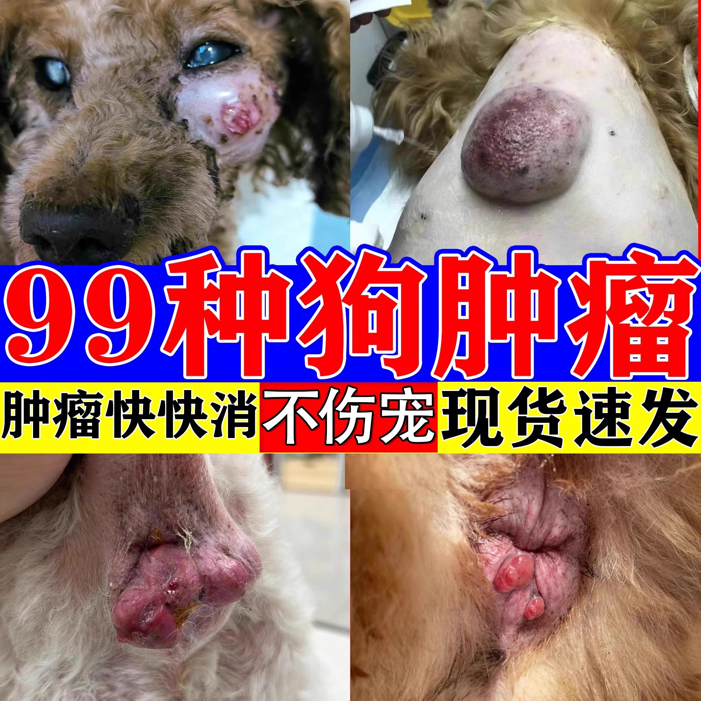 宠物活清解片仲留快消牛肉锭治疗乳腺肛周瘤狗狗脂肪瘤快消特效药