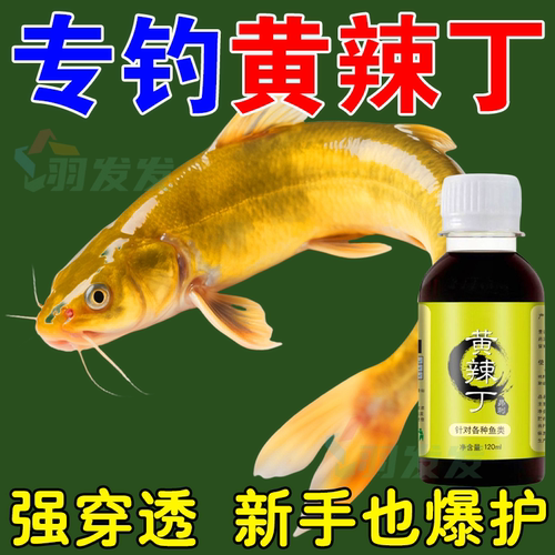 野钓黄辣丁窝料专攻昂刺鱼黄骨鱼
