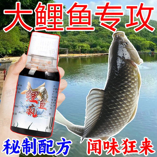 钓鲤鱼小药黑坑湖泊专攻鲤鱼小料