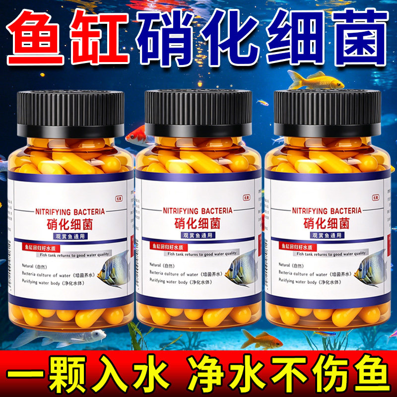 硝化细菌鱼缸净化水质清澈养鱼净