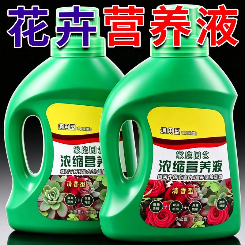 营养液植物通用型水培室内盆栽花