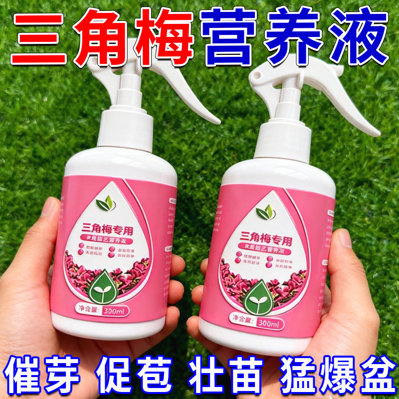 三角梅开花专用营养液肥促花爆花