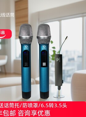 DreamWave 无线话筒 适用于君伍摇滚王RockSatr 家用户外音箱K歌
