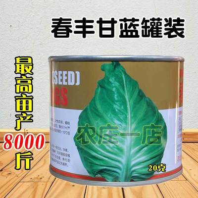 春丰甘蓝一代杂交种孑卷心包心菜牛籽种子甘蓝8000斤耐寒亩产基地