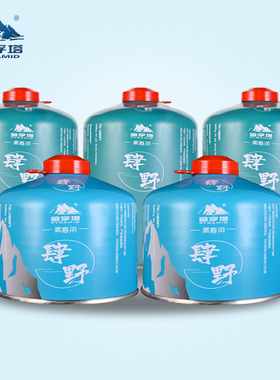 金字塔高山气罐户外扁气罐野营野炊液化燃气罐丙烷丁烷气罐瓦斯罐