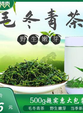 毛冬青茶正品云南野生特级嫩芽500g青山绿水茶展会毛东青中药茶叶