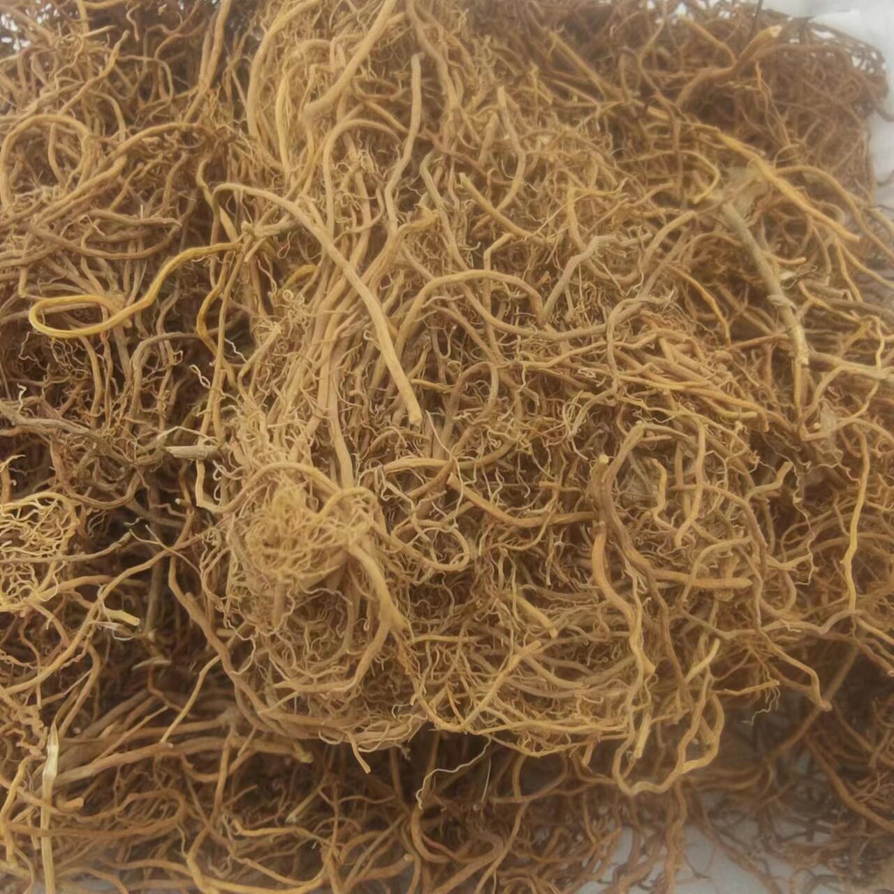 徐长卿 全根 刁竹根 好寮刁竹根 辽刁竹 中草 逍遥竹 遥竹逍