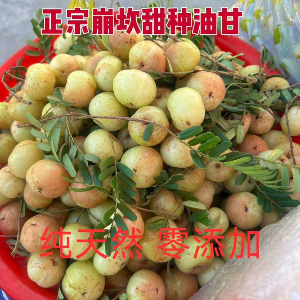 潮汕普宁崩坎甜油甘新鲜油甘果牛甘果余甘果滇橄榄甜种柿饼甜油柑