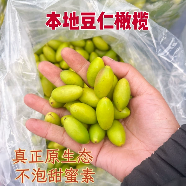 正宗潮汕香甜青橄榄果新鲜现摘酥脆二号生吃回甘孕妇水果青甜橄榄