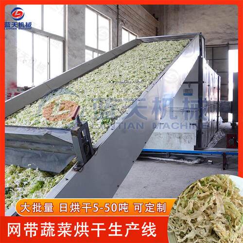 网带蔬菜烘干生产线 大型履带包菜丝红辣椒土豆红薯干烘干机设备