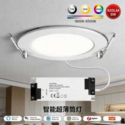 Zigbee2MQTT涂鸦智能LED筒灯｜6W