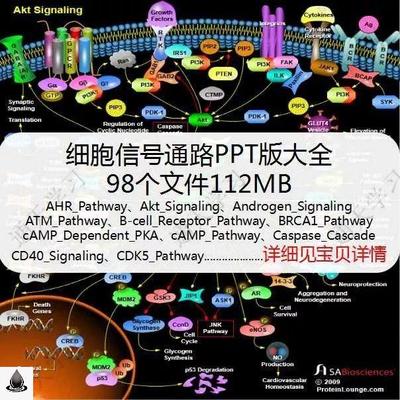 基础医学细胞信号通路图解PPT可编辑pathwaysci科研绘图素材素材