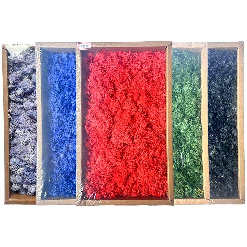 永生苔藓植物墙造景装饰手工制作干花配材花材真苔藓工厂直发,家居饰品,餐桌花艺,淘宝优惠券,粉丝福利购,淘宝优惠卷