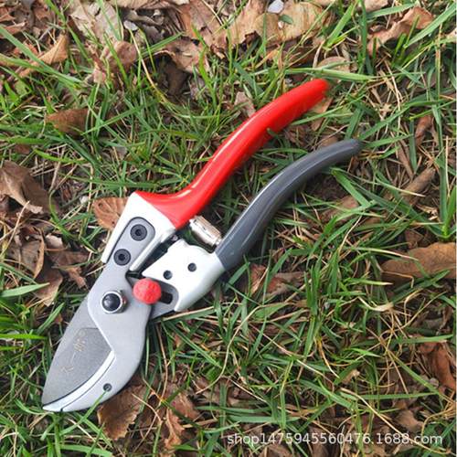 供应828果树剪刀修枝剪园林工具新款花剪SK5钢粗枝剪修树剪