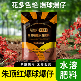 花肥谷朱顶红种球爆仔肥壳寡糖农用聚谷氨酸微生物菌剂有机水溶肥