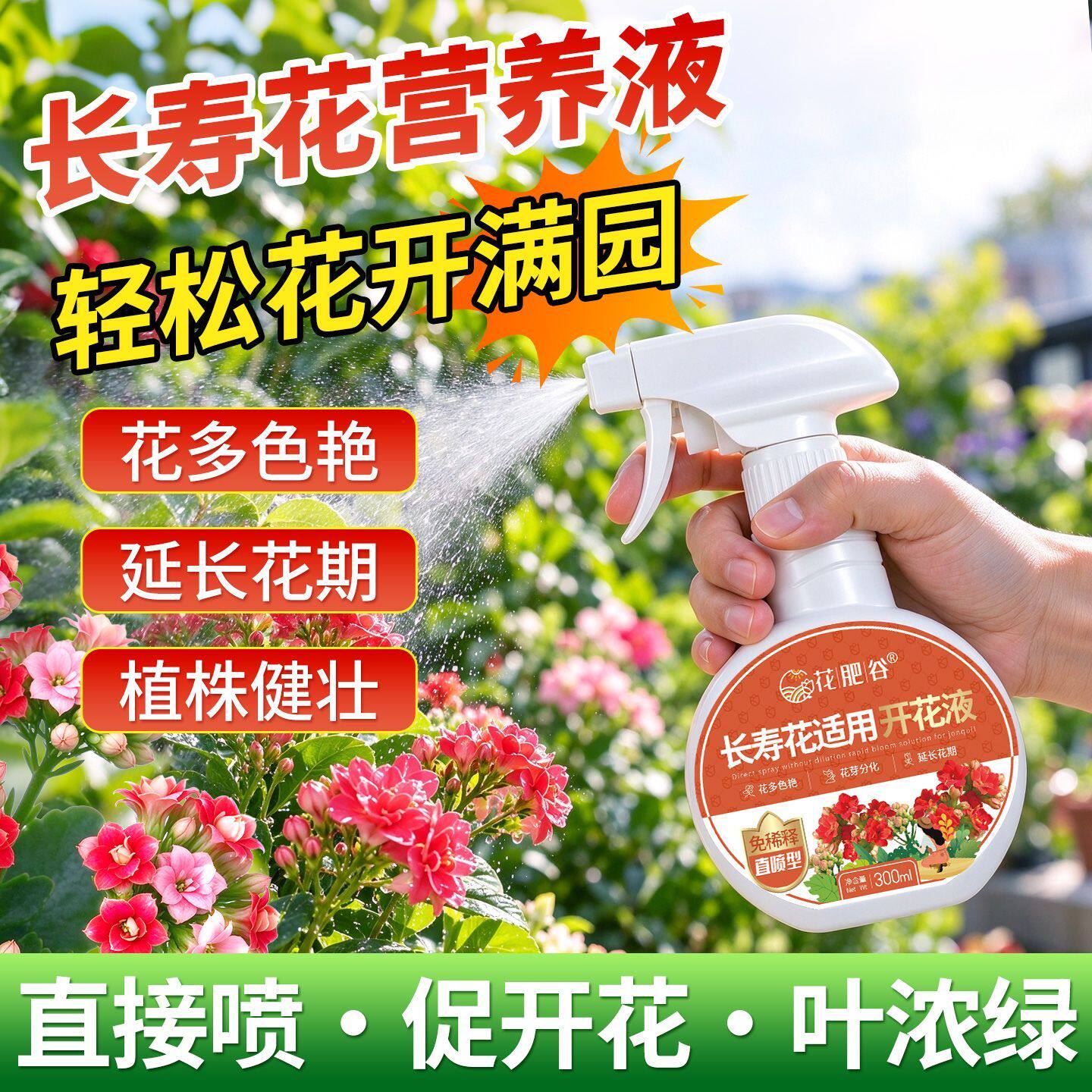 长寿花即喷营养液开花喷雾通用养花肥料重瓣磷钾硼开花植物营养液