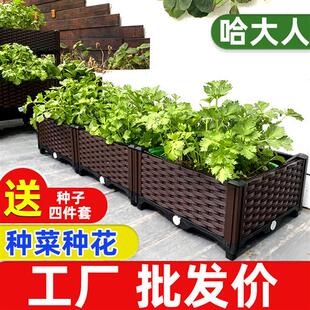 阳台种菜种植箱楼顶户外花箱室外种菜专用箱长方形花盆大号种菜盆