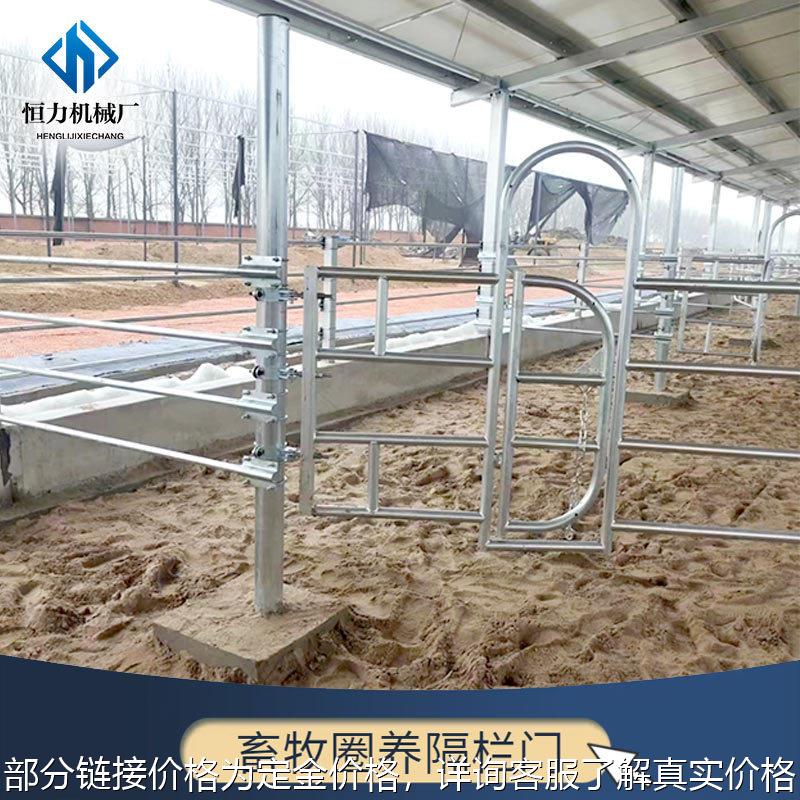牛舍开合式隔栏门 热镀锌材质牛场围栏设备 带过人门牛颈夹