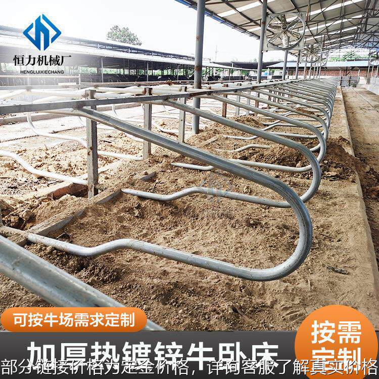 奶牛场专用牛卧栏 内外热镀锌钢管制作牛卧床 防腐耐酸碱定位栏