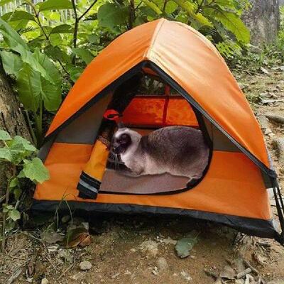 Cat Tent House Outdoor Camping House Cat Tent Cat Tent For O