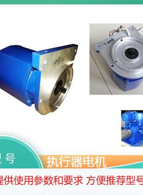 电动执行器电机 AS-25 BS-60 A+RS100 B+RS160 B+RS250 ST 系列