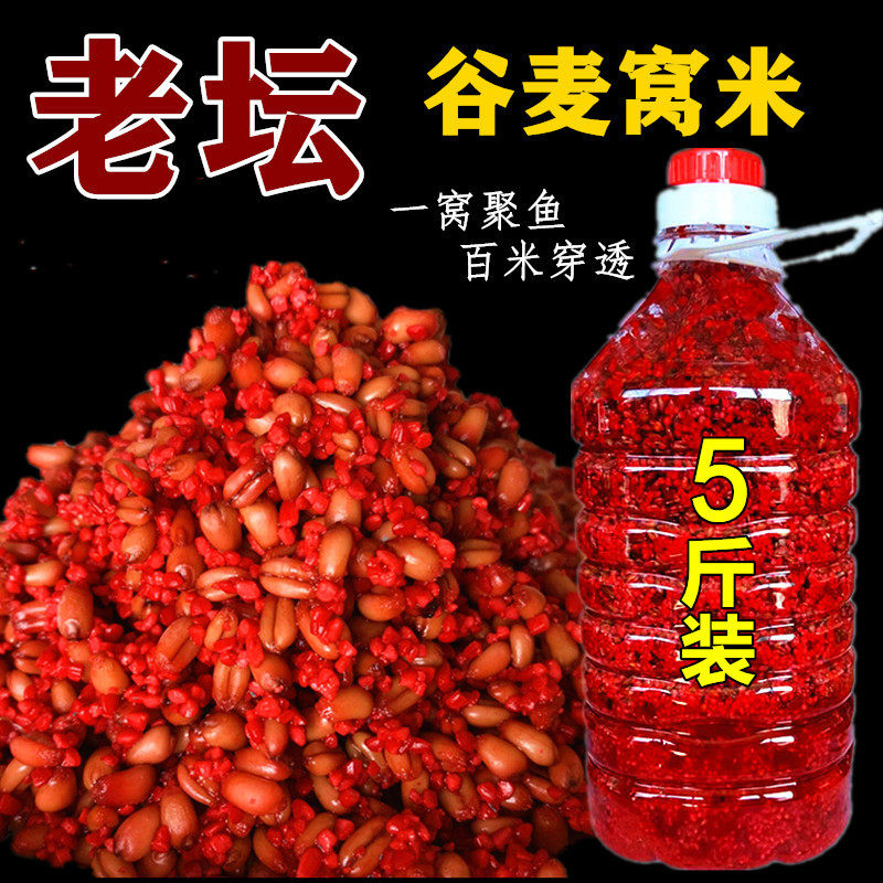老坛玉米谷麦酒米打窝料钓鱼饵料野钓鲫鱼草窝米鱼食发酵诱鱼颗粒