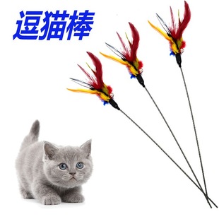 新款 猫咪玩具逗猫棒手持羽毛逗猫玩具彩色50cm逗猫棒彩色猫咪用品