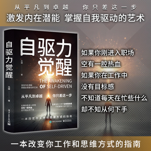 自驱力觉醒 一本改变你工作和思维方式 激发内在潜能 艺术 指南 掌握自我驱动 正版
