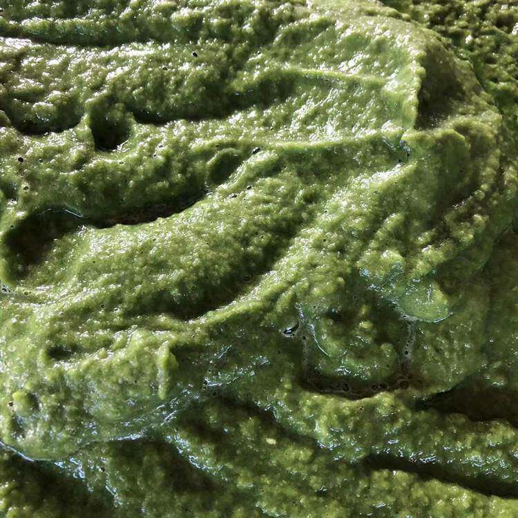 营养土粉碎机90型土壤打碎机水葫芦河草细粉设备免费试机