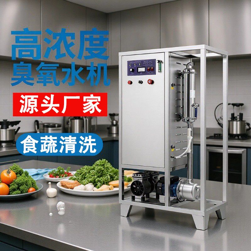 定制一体化臭氧水机高浓度消毒器合成器发生器生成机厂家自洁