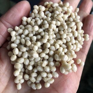 白鱼饲料颗粒机 全自动肉骨头粉碎膨化机青蛙泥鳅狗粮机出口芬兰