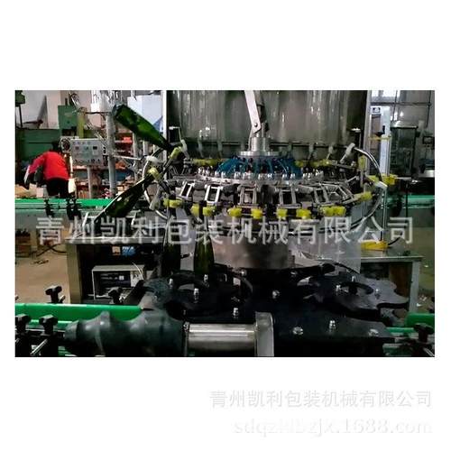 自动洗瓶机控瓶机全自动洗瓶机冲洗设备酒瓶洗瓶机冲瓶设备