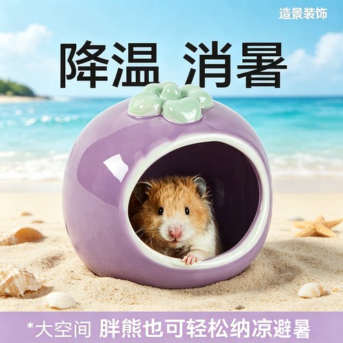 仓鼠夏季躲避屋陶瓷窝