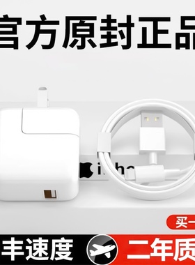 适用ipad第5代4代A1822快充头数据线A1823充电线器A1458苹果A1459平板A1460冲电iapd手机充电头ipod