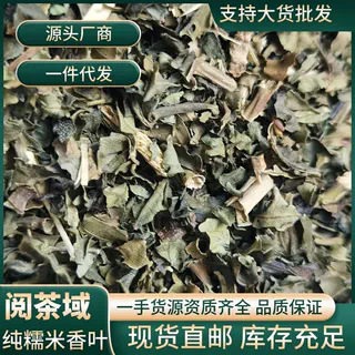 新品糯米香叶云南西双版纳普洱茶伴侣晒干纯叶糯米香茶大口茶专用