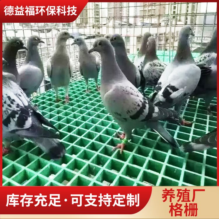 玻璃钢格栅鸽舍地网树篦